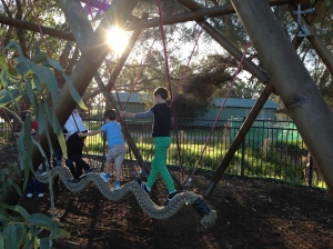 Close-up of the rope swing.